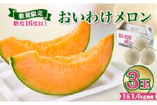 ＜2025年発送＞おいわけメロンパック 糖度16度以上 1.4kg前後×3玉(数量限定)【1137369】