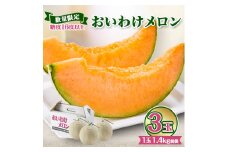 ＜2026年発送＞おいわけメロンパック 糖度16度以上 1.4kg前後×3玉(数量限定)【1137369】