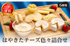 高評価! ナチュラルチーズコンテスト受賞! 夢民舎ブランド はやきたチーズ色々詰合せセット_ カマンベールチーズ クリームチーズ モッツァレラチーズ カチョカバロ さけるチーズ 人気 北海道 おつまみ【1001151】
