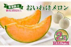 ＜数量限定＞ おいわけメロン 糖度16度以上　1.6kg以上×2玉入【1082977】