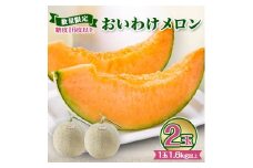 ＜数量限定＞ おいわけメロン 糖度16度以上　1.6kg以上×2玉入【1082977】