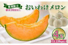 ＜数量限定＞おいわけメロン 糖度16度以上　2.0kg以上×4玉入【1000243】