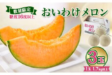 ＜数量限定＞ おいわけメロン 糖度16度以上　1.7kg以上×3玉入【1000244】