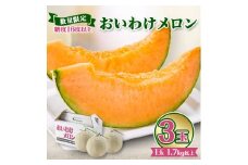 ＜数量限定＞ おいわけメロン 糖度16度以上　1.7kg以上×3玉入【1000244】
