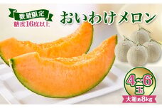 ＜数量限定＞おいわけメロンパック 糖度16度以上 大箱約8kg(4～6玉)_ メロン めろん 赤肉 赤肉メロン おいわけメロン 追分 数量限定 北海道 果物 くだもの フルーツ デザート 甘い 糖度 贈答 ギフト プレゼント 国産 産直 産地直送 送料無料 【1226767】