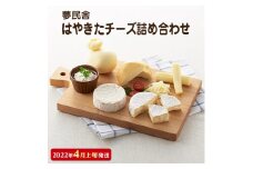 ＜2022年4月上旬発送＞＜夢民舎ブランド＞はやきたチーズ色々詰合せ【6393908】