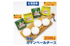 2022年4月発送開始『定期便』角谷 カマンベールチーズセット＜125g×4個＞全3回【5039378】