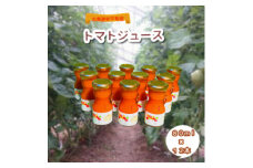 2023年4月発送開始『定期便』北海道安平町産100%トマトジュース(無塩)80ml×12本全3回【5138096】