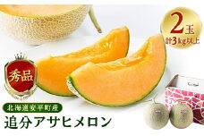 追分アサヒメロン〔秀品〕2玉(5玉サイズ)＜JAとまこまい広域取扱 安平町特産品＞【1395534】