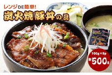 炭火焼豚丼の具500g【1418839】