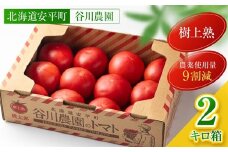 ＜北海道産＞樹上熟3段採り 桃太郎トマト / 正品2kg箱(10～14玉入)【1472504】