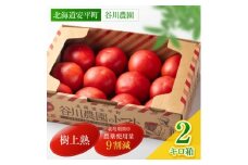 ＜北海道産＞樹上熟3段採り 桃太郎トマト / 正品2kg箱(10～14玉入)【1472504】