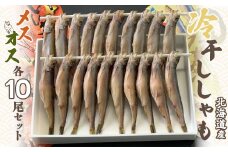 ＜北海道産＞冷干ししゃも メス・オス各10尾セット  【 冷干ししゃも シシャモ 魚 セット オス メス セット 】 MKWZ006