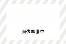 カムイサウルス・ジャポニクス×アイヌ紋様柄トートバッグ(02ブラック)  【 トートバッグ バッグ おしゃれ カムイサウルス 恐竜 きょうりゅう 】 MKWB002