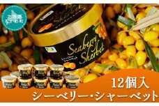 シーベリー・シャーベット(12個入)  【 シーベリー サジー シャーベット スイーツ デザート 氷菓 】 MKWH001