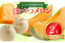 ＜2025年発送先行受付＞ほべつメロン2玉(約1.6Kg×2玉)＜むかわ町穂別特産品＞  【 ふるさと納税 人気 おすすめ ランキング ほべつメロン メロン 赤肉 赤肉メロン ルピアレッド 贈答 高級 デザート 北海道 むかわ町 送料無料 】 MKWR002