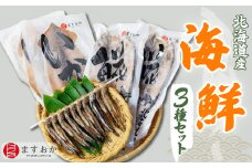 ＜北海道産＞舛岡水産の海鮮3種セット  【 ホッケ ししゃも イカ 海鮮 新鮮 鮮度 セット 】 MKWZ003