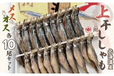 ＜北海道産＞上干ししゃも メス・オスセット  【 ししゃも シシャモ 魚 セット 無添加 無着色 】 MKWZ011