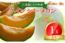 【2025年8月中旬以降発送】クインシー（赤肉）1玉  【 ふるさと納税 人気 おすすめ ランキング メロン 果物  甘い 大玉 フルーツ 旬 北海道 むかわ町 送料無料 】 MKWAG002