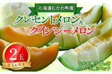 【2025年8月中旬以降発送】クレセント（青肉）・クインシー（赤肉）2玉赤青ミックス  【 ふるさと納税 人気 おすすめ ランキング メロン 果物  甘い 大玉 フルーツ 旬 北海道 むかわ町 送料無料 】 MKWAG003
