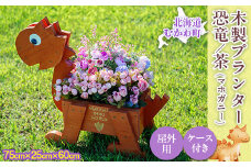 恐竜プランター(木製)  【 ふるさと納税 人気 おすすめ ランキング プランター ガーデニング 花 植木鉢 鉢 花 恐竜 北海道 むかわ町 送料無料 】 MKWAC001