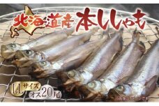 北海道ししゃも オス LLサイズ 20尾セット