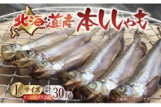北海道産 阿部水産 ししゃも L 30尾セット 本ししゃも 雄 雌 オス メス 魚卵 卵 たまご タマゴ子持ち 北海道土産 季節限定 ほくほく 子魚 無添加 クール便 冷凍 送料無料 北海道 日高町