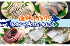 漁師手作り魚詰め合わせセット B 燻製 珍味 5種 6種 干しカレイ 糠カレイ たこ 鮭山漬け ししゃも いか一夜干し 干物 カレイ いか 刺身 鮮魚 旬 詰め合わせ セット お任せ 貝水揚げ 北海道 日高町
