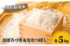 北海道 日高【田中農園】R7年産 おぼろづき ＆ ななつぼし 各5kg 食べ比べ セット 特別栽培米