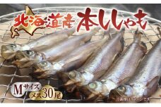 北海道産 阿部水産 ししゃも M 30尾セット 本ししゃも 雌 メス 魚卵 卵 たまご タマゴ子持ち 北海道土産 季節限定 ほくほく 子魚 無添加 クール便 冷凍 送料無料 北海道 日高町