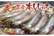 北海道産 阿部水産 ししゃも LL 20尾セット 本ししゃも 雄 雌 オス メス 魚卵 卵 たまご タマゴ子持ち 北海道土産 季節限定 ほくほく 子魚 無添加 クール便 冷凍 送料無料 北海道 日高町