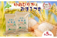 田中農園 令和7年度 ゆめぴりか＆おぼろづき 各5kg 食べ比べ セット 米 こめ コメ 白米 白飯 ご飯 ごはん ふっくら つややか 豊かな甘み ほどよい粘り 特別栽培 日高町
