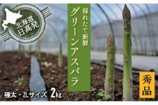 2L【秀品】約2kg （ 500g x 4袋 ） グリーンアスパラ＜北海道日高門別産＞