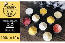 【6ヶ月定期便】日高町産フルーツほおずき使用プレミアム生乳ジェラート食べ比べセットE（10個入り）