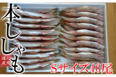 北海道産ししゃもS40尾