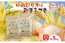 6ヵ月定期便 田中農園 令和6年度 ゆめぴりか＆おぼろづき 各5kg 食べ比べ セット 米 こめ コメ 白米 白飯 ご飯 ごはん ふっくら つややか 豊かな甘み ほどよい粘り 特別栽培 日高町