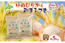 12ヵ月定期便 田中農園 令和6年度 ゆめぴりか＆おぼろづき 各5kg 食べ比べ セット 米 こめ コメ 白米 白飯 ご飯 ごはん ふっくら つややか 豊かな甘み ほどよい粘り 特別栽培 日高町