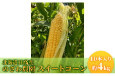 2025年 先行予約 【 のざわ農園 】スイートコーン 10本 前後（約4kg） とうもろこし コーン とうきび 北海道 日高産