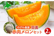 【 ふるさと納税 】のざわ農園 日高 赤肉メロン 2玉 めろん メロン 赤い 甘い 夏 フルーツ 果実 ルピアレッド 糖度 甘み 濃厚 肥料 贈り物 お中元 お歳暮 常温 冷蔵庫 家族 デザート のざわ農園 北海道 日高町