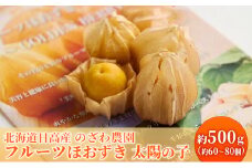 2025年 先行予約 【 のざわ農園 】 フルーツ ほおずき 「 太陽の子 」約500g 北海道 日高産 希少 ホオズキ