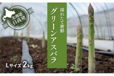 L 約2kg （ 500g x 4袋 ）グリーンアスパラ ＜ 北海道 日高門別産 ＞ アスパラガス アスパラ 春野菜 春 朝採り 朝採れ 新鮮 農協 JA 直送 野菜