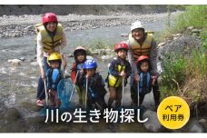川の生き物探し【体験チケット】体験 チケット 自然 川 釣り 北海道 日高町