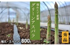 2L【秀品】800gグリーンアスパラ＜北海道日高門別産＞ アスパラガス アスパラ 春野菜 春 朝採り 朝採れ 新鮮 農協 JA 直送 野菜