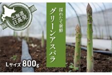 L 800g グリーンアスパラ ＜北海道 日高門別産＞ アスパラガス アスパラ 春野菜 春 朝採り 朝採れ 新鮮 農協 JA 直送 野菜