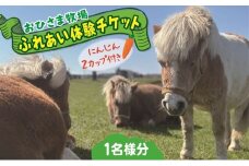 おひさま牧場ふれあい体験チケット（人参２カップ付き）
