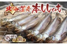 北海道産 阿部水産 ししゃも メス MS 30尾セット 本ししゃも 雌 メス たまご 卵 北海道土産 季節限定 ほくほく 子魚 無添加 クール便 冷凍 送料無料 北海道 日高町