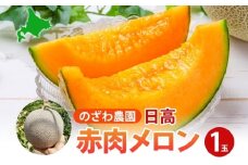 のざわ農園 日高 赤肉メロン 1玉 めろん メロン 赤い 甘い 夏 フルーツ 果実 ルピアレッド  糖度 甘み 濃厚 肥料 贈り物 お中元 お歳暮 常温 冷蔵庫 家族 デザート のざわ農園 北海道 日高町