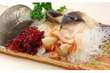活ホッキ貝 20個 北海道 日高産 ホッキ貝 天然 産地直送 お取り寄せ 北海道 日高町 2025年11月中旬より発送