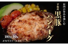 平取産黒豚ハンバーグ180ｇ10枚　オリジナルソース付 ふるさと納税 人気 おすすめ ランキング 黒豚 肉 ハンバーグ 北海道 平取町 送料無料 BRTB030
