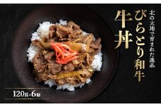 びらとり和牛牛丼120ｇ6個 ふるさと納税 人気 おすすめ ランキング 和牛 肉 牛丼 北海道 平取町 送料無料 BRTB033